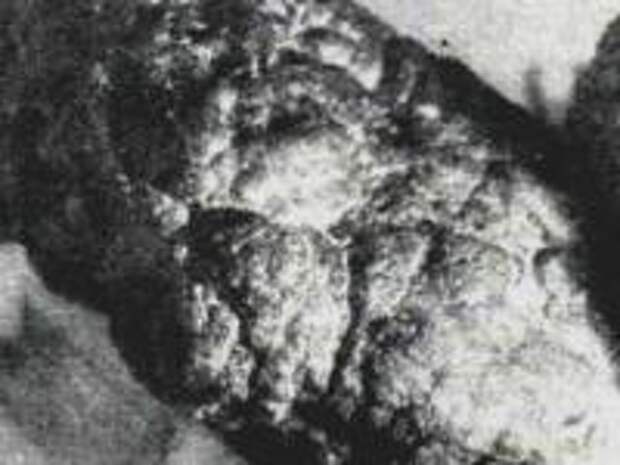 Кремниевый артефакт из палеозоя