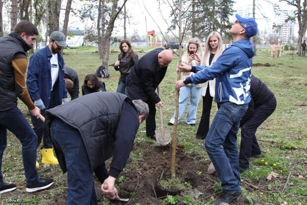 В Адыгее в рамках акции "Сад памяти" высадили деревья
