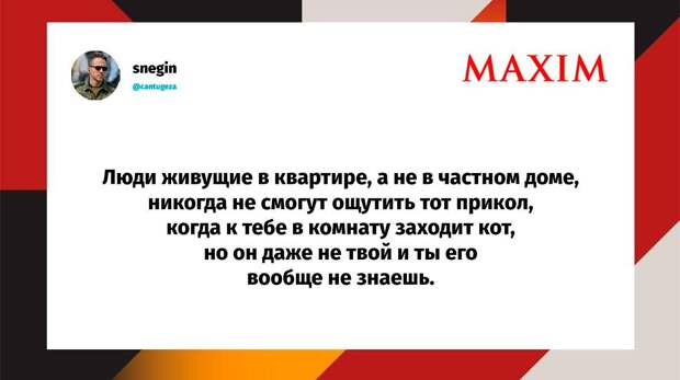 Самые смешные шутки вторника и «модный суперфуд»