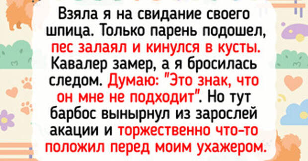 20+ барбосов, чья преданность озаряет жизнь хозяев ярче прожектора