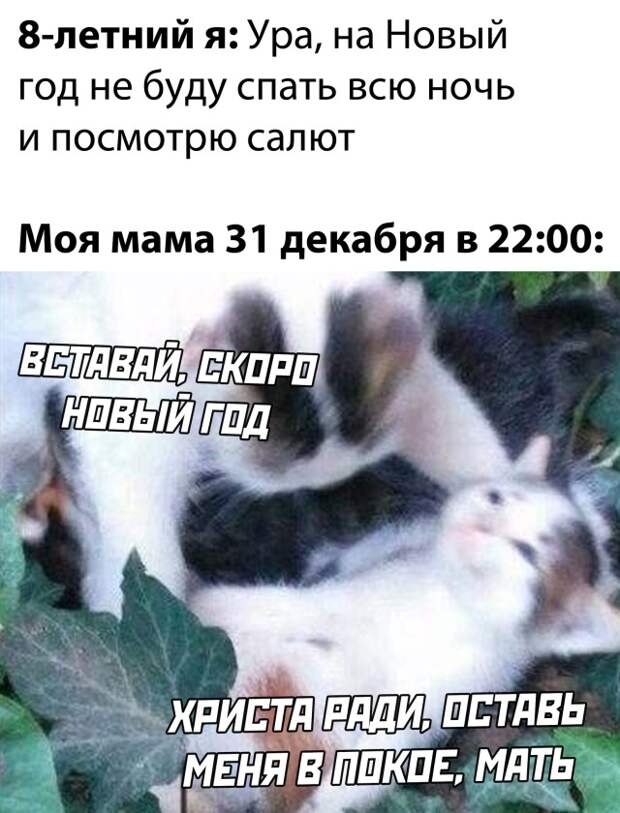 Смешные картинки вечер 10 декабря 2020