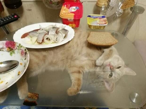 картинки