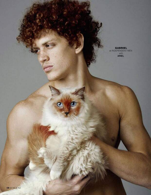 Мужчины и коты