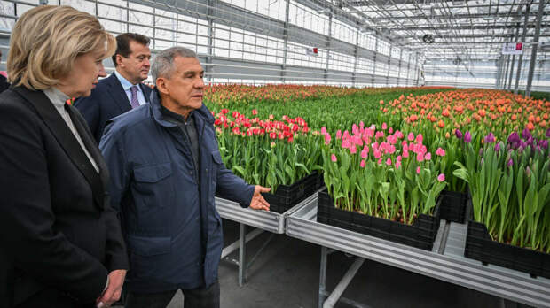 Миңнеханов «Шәһәрне төзекләндерү»нең яңа базасын һәм «Горводзеленхоз» теплицасын карады