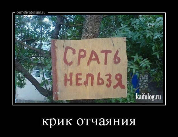 Русские демки - 285 (40 демотиваторов)