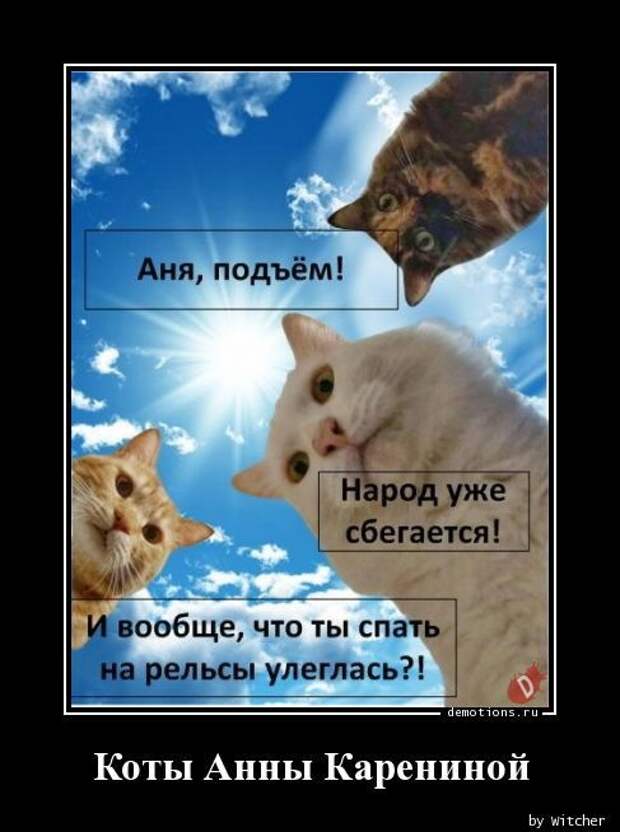 1589958748_demki-6.jpg