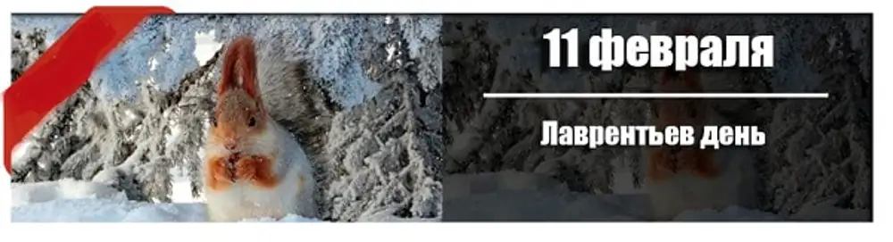 11 января день календаря