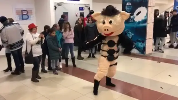 Свинья из «Ну, погоди!» станцевала стриптиз на матче ВХЛ