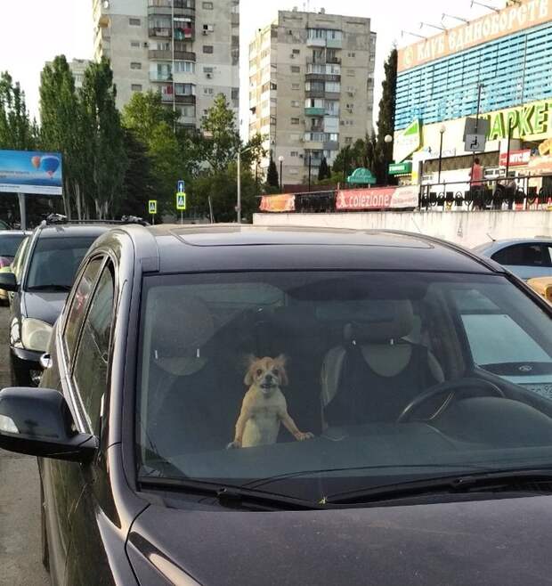 Когда разбудил древнее зло... Когда разбудил древнее зло...