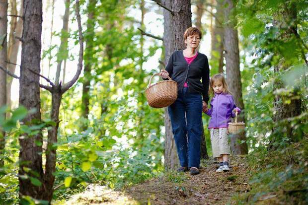 В лес с ребенком: правила, которые сохранят жизнь и здоровье