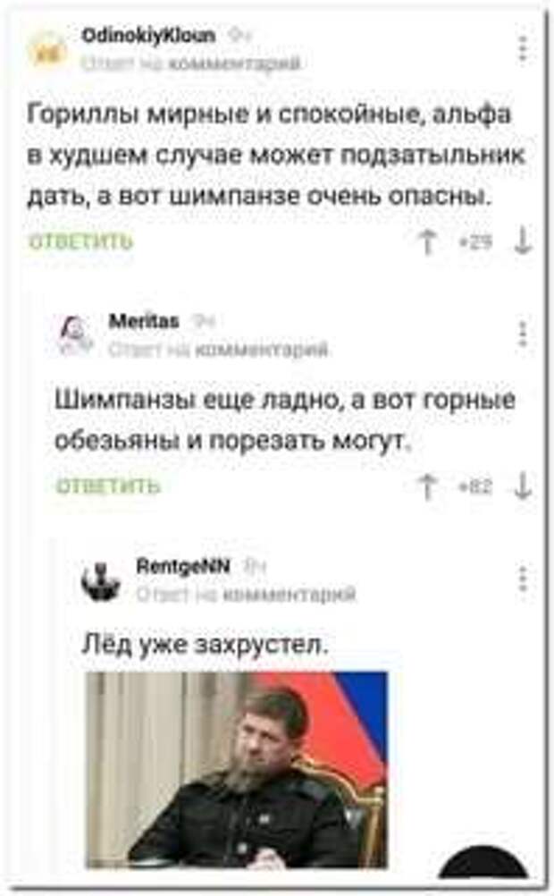Смешные комментарии. Подборка chert-poberi-kom-chert-poberi-kom-09371212082020-13 картинка chert-poberi-kom-09371212082020-13
