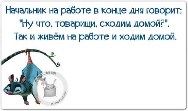 Прикольные фразочки в картинках