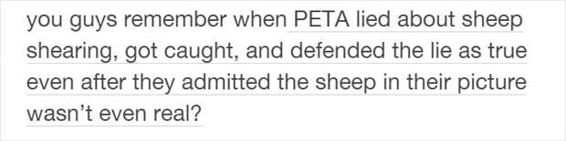 anti-peta-hate-rant-dear-tumb1r-06