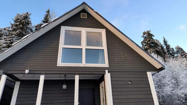 Дачный сезон начинается зимой: какие культуры посеять уже в январе