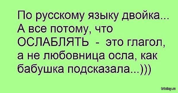 Пост хорошего настроения