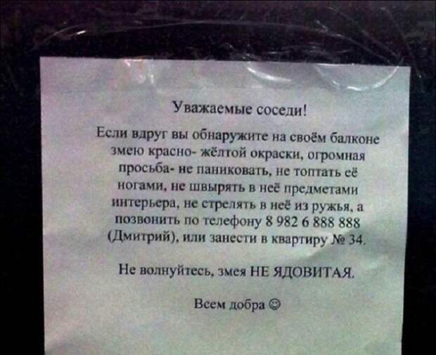 Им очень повезло с соседями: 20 записок в подъезде