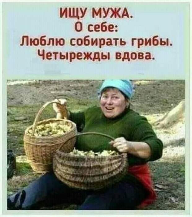 Подборка очень смешных картинок