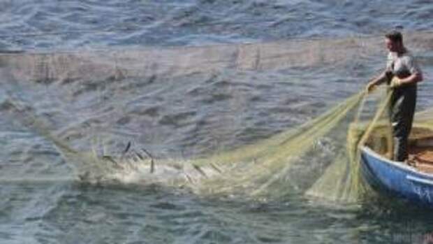 Сети и рыба на 30 тыс. гривен: возле Арабатской стрелки задержали браконьера