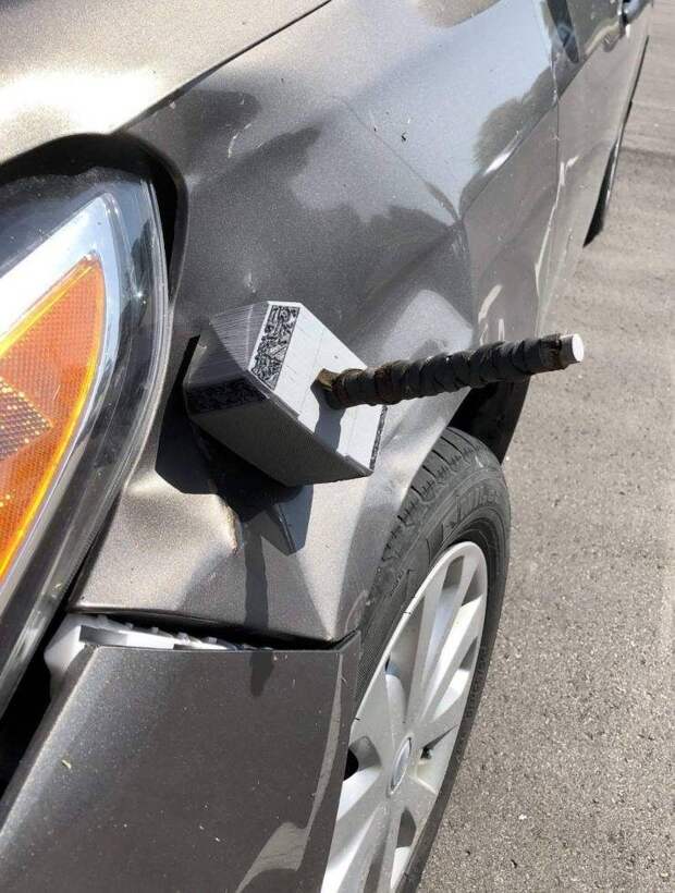 Подборка картинок дня