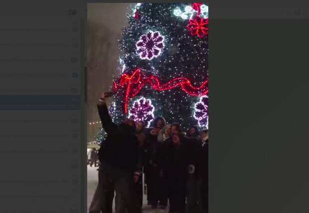 Смоленские елки принимают участие в конкурсе «Елки России»