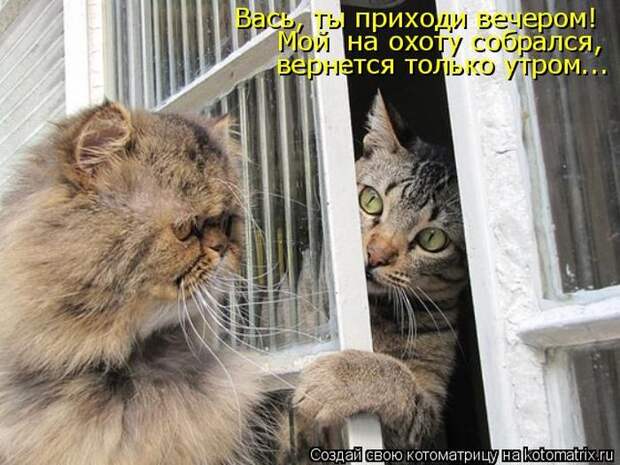 Мысли вслух :)