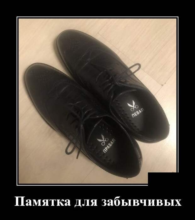 Демотиваторы (30 фото)