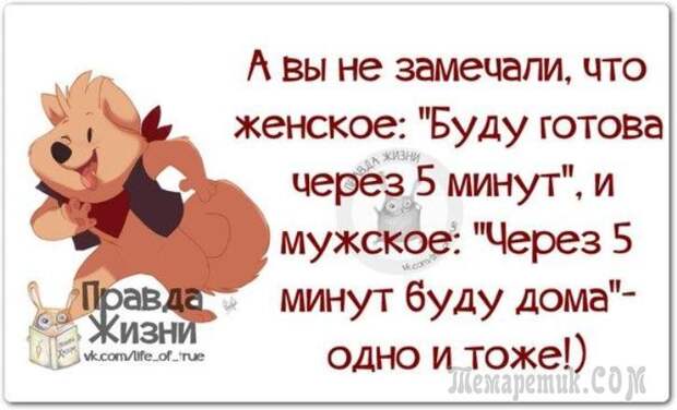 Смешные открытки с философские уклоном