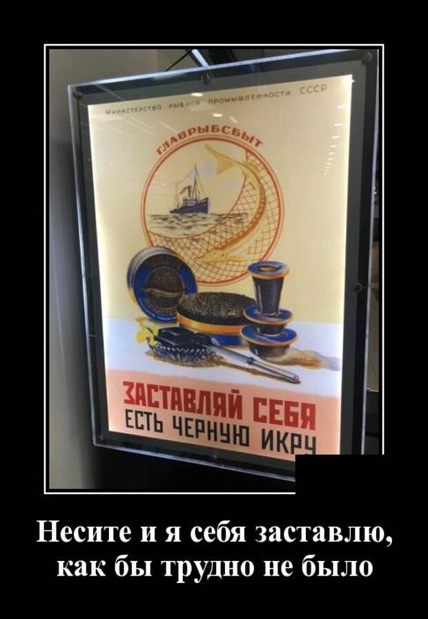Забавные и новые демотиваторы. 543 ( 30 фото )