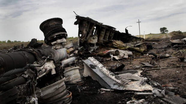 Соловьев поддержал инициативу расследования роли Украины в крушении MH17
