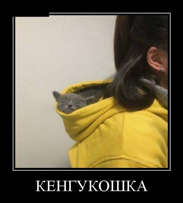 Демотиваторы (30 фото)