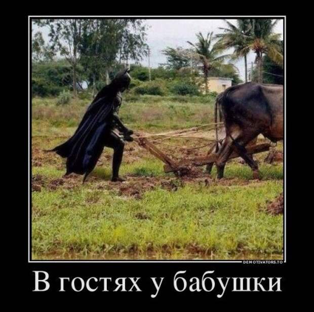 Изумительные Демотиваторы