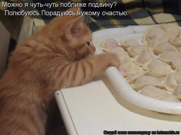 1360508303_1360269340_novye-kotomatricy-6_resize (700x523, 299Kb)