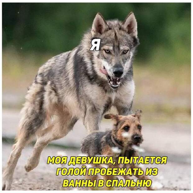 Немного 