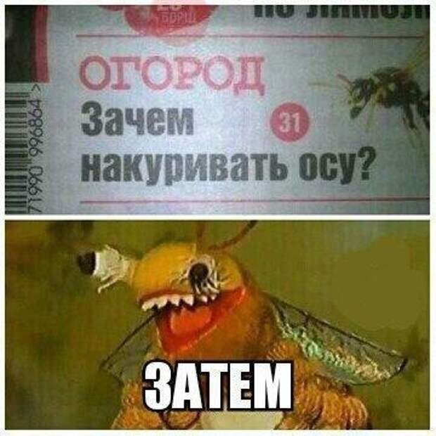 Приколы