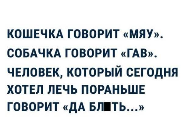 Прикольные и смешные картинки
