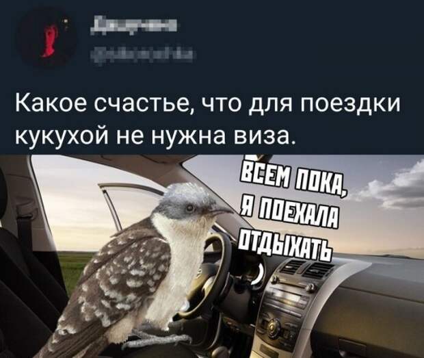 Скрины из социальных сетей