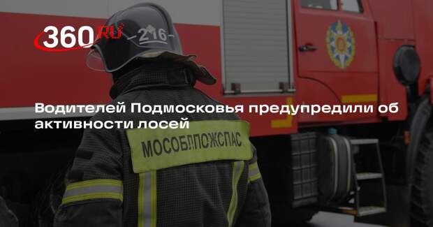 Водителей Подмосковья предупредили об активности лосей