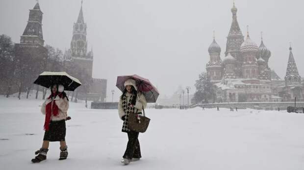Синоптик Позднякова рассказала о снегопаде и метелях в Москве на неделе