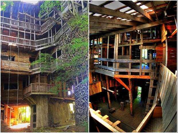 За время строительства «небоскреба» на дереве было потрачено 300 тыс. гвоздей. За время строительства «небоскреба» на дереве было потрачено 300 тыс. гвоздей.