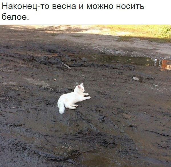 Паранормальных пикч