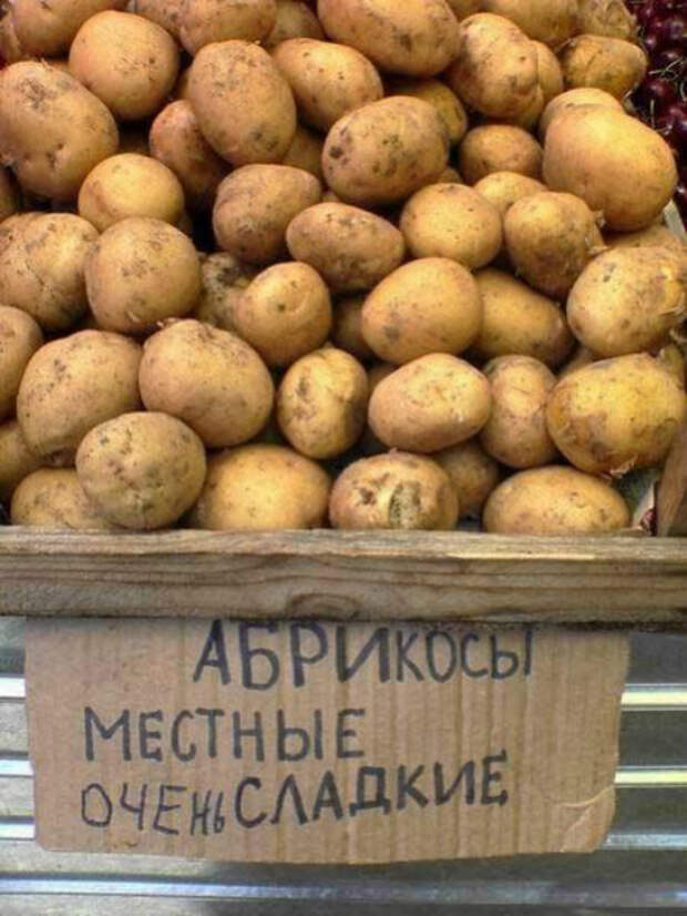 Потрясающие открытия.