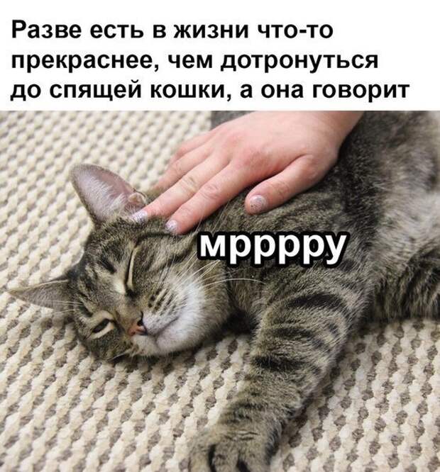 Включи говорящая спи