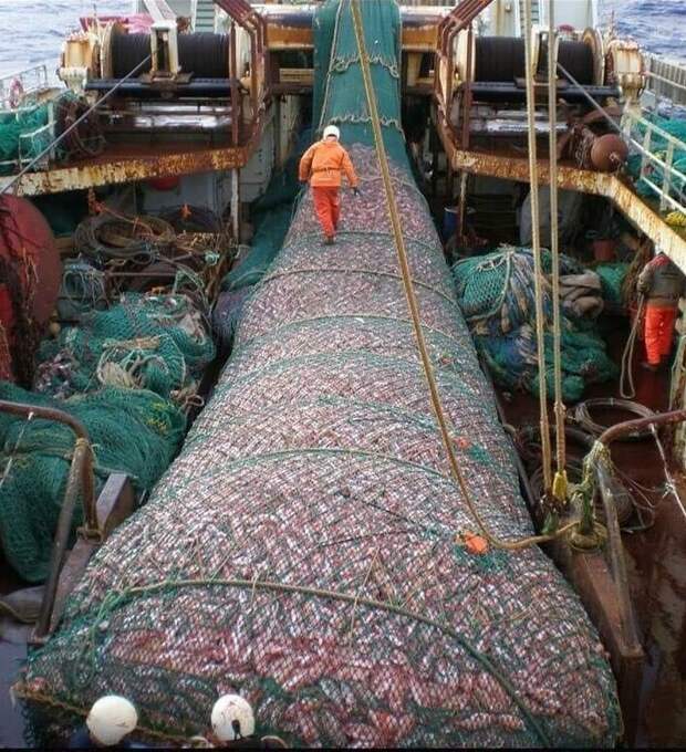 25 зарисовок из жизни современных мореходов 25 зарисовок из жизни современных мореходов