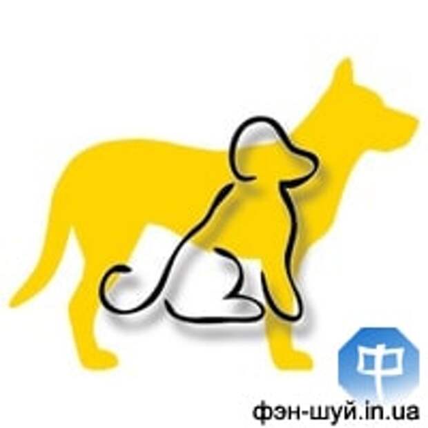 Год собаки рак мужчина