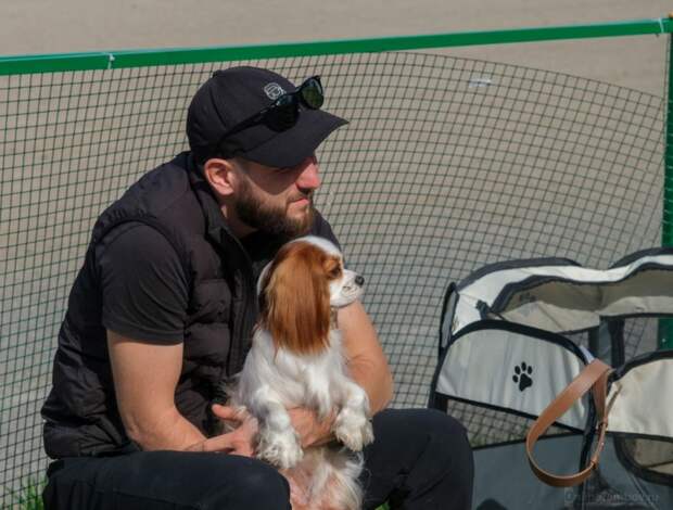 8de04887-864a-45f6-8024-8797a175ef08.jpg 8de04887-864a-45f6-8024-8797a175ef08.jpg