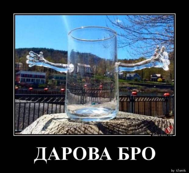 1589958717_demki-1.jpg