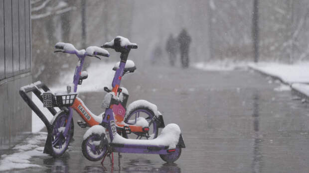 Сезон электросамокатов в России: когда стартует и как изменятся правила