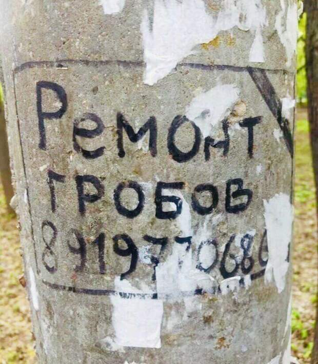 Купили б/у, а он не очень? Теперь знаете, куда обращаться Купили б/у, а он не очень? Теперь знаете, куда обращаться