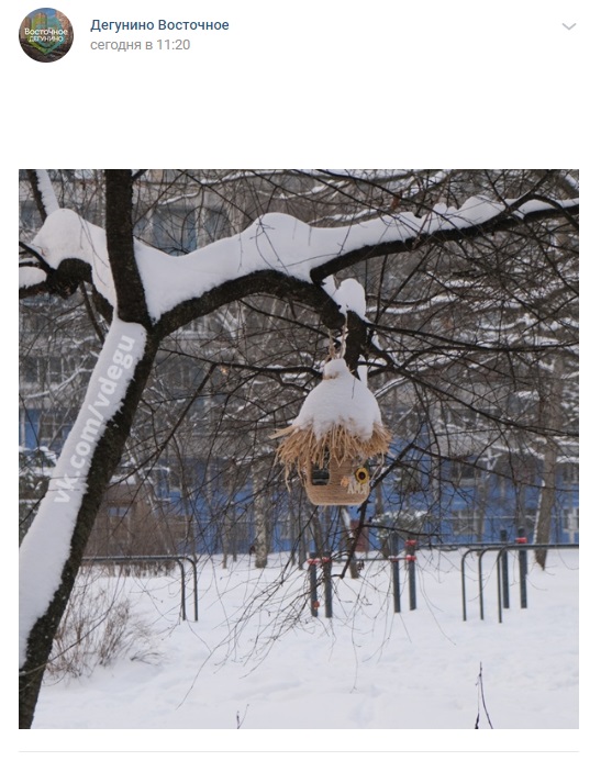 Фото дня: нестандартная кормушка для птиц в «Северных Дубках»