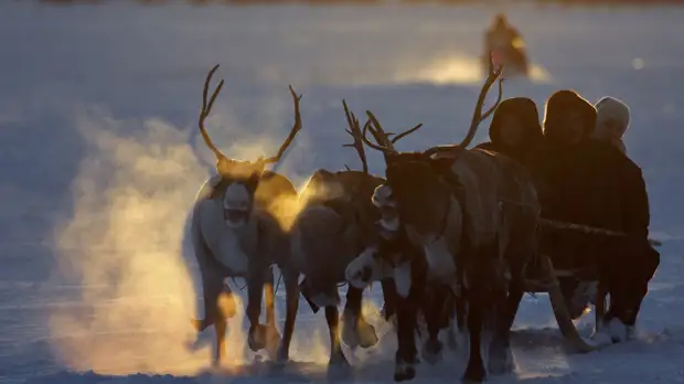 Власти Ямала рассказали о планах по развитию туризма на Полярном Урале